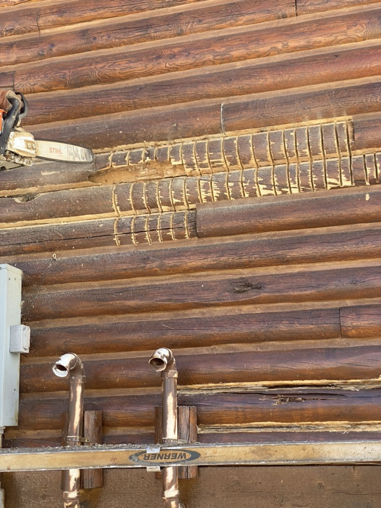 Log Repair & Rot Repair